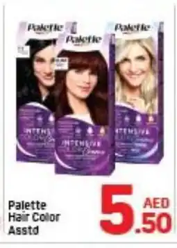 Day To Day PALETTE Hair Colour offer