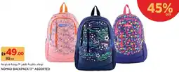 Aswaaq Nomad backpack 17" assorted offer