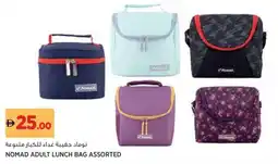 Aswaaq Nomad adult lunch bag assorted offer