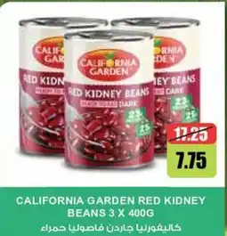 Aswaaq California garden red kidney beans offer