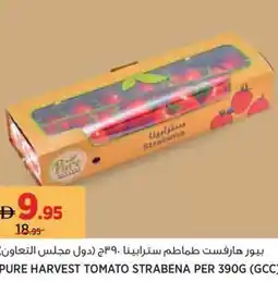Aswaaq Pure harvest tomato strabena offer