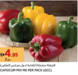 Aswaaq Capsicum mix offer