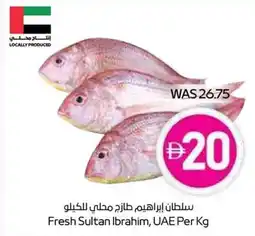 Abu Dhabi Coop Fresh Sultan Fresh Sultan Ibrahim, UAE Per Kg offer