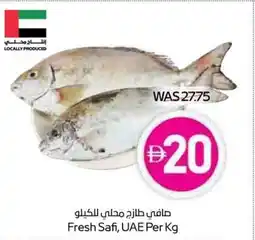 Abu Dhabi Coop Fresh Safi offer