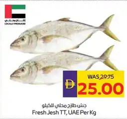 Abu Dhabi Coop Fresh Jesh TT offer