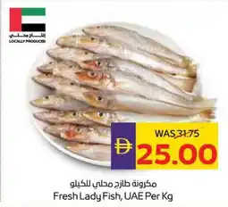 Abu Dhabi Coop Fresh Lady Fish offer