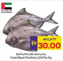 Abu Dhabi Coop Fresh Black Pomfret offer