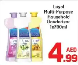 Day To Day Loyal Multi-Purpose Household Deodorizer offer