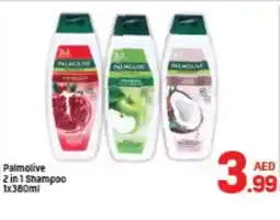 Day To Day Palmolive 2 in 1 Shampoo offer