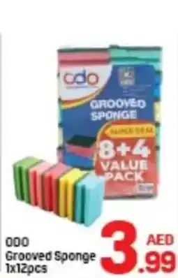 Day To Day ODO Grooved Sponge offer