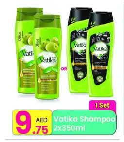 Everyday Center VATIKA Shampoo / Conditioner offer