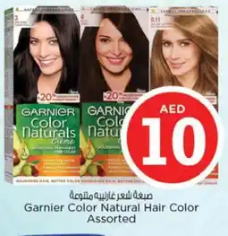 Nesto GARNIER Hair Colour offer