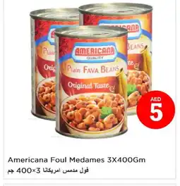 Last Chance AMERICANA Fava Beans offer