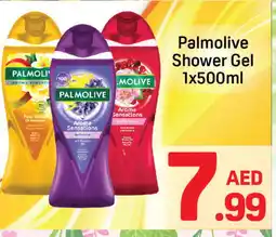 Day To Day PALMOLIVE Shower Gel offer