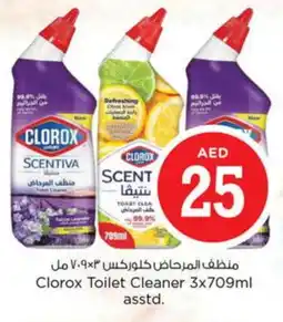 Nesto CLOROX Toilet / Drain Cleaner offer
