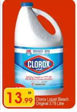 Bigmart CLOROX Bleach offer