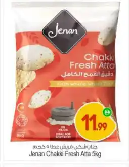 Bigmart JENAN Atta offer