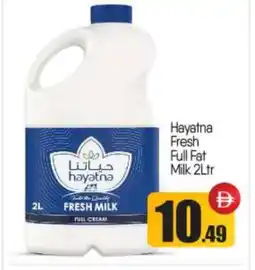 Bigmart HAYATNA Fresh Milk offer