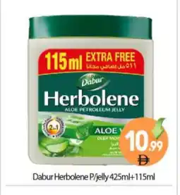Bigmart DABUR Petroleum Jelly offer