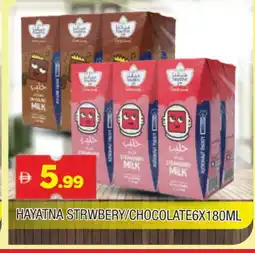 Al Madina HAYATNA Flavoured Milk offer