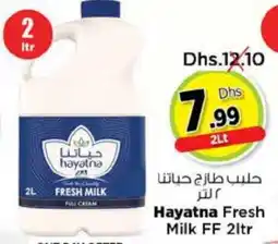 Nesto HAYATNA Full Cream Milk offer