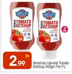 Bigmart AMERICAN HARVEST Tomato Ketchup offer