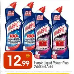 Bigmart HARPIC Toilet / Drain Cleaner offer
