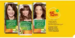 Bigmart GARNIER Hair Colour offer