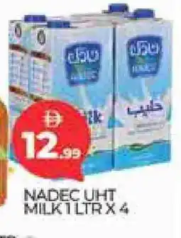 Al Madina NADEC Long Life / UHT Milk offer