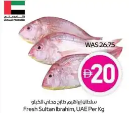 Spar Fresh Sultan offer