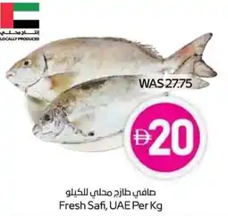 Spar Fresh safi offer