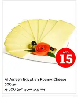 Last Chance AL AMEEN Roumy Cheese offer
