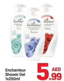 Day To Day Enchanteur Shower Gel offer