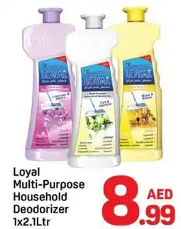 Day To Day Loyal Multi-Purpose Household Deodorizer offer