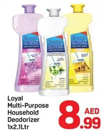 Day To Day Loyal Multi-Purpose Household Deodorizer offer