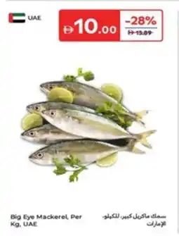 Carrefour Big Eye Mackerel offer