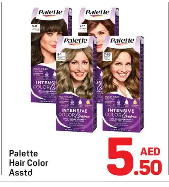 Day To Day PALETTE Hair Colour offer