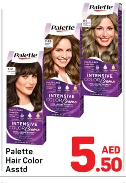 Day To Day PALETTE Hair Colour offer