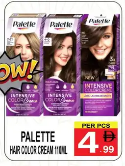 Friday Center PALETTE Hair Colour offer