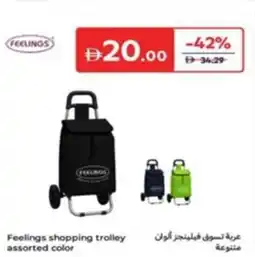 Carrefour Feelings shopping trolley assorted color offer