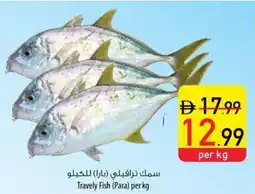 Safeer Market Travely Fish Para offer