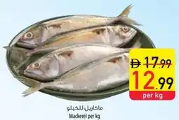 Safeer Market Mackerel offer
