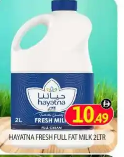 Bigmart HAYATNA Full Cream Milk offer