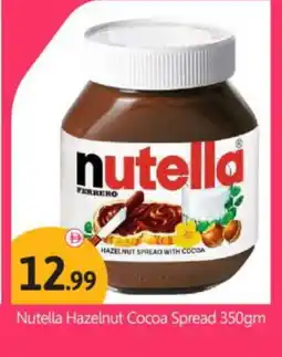 Bigmart NUTELLA Chocolate Spread offer