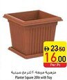 Safeer Market Planter Square with Tray offer