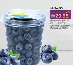 Lulu Hypermarket Driscoll's Blueberry Zimbabwe offer