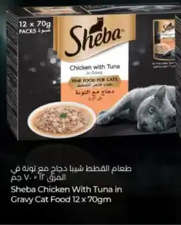 Lulu Hypermarket Sheba Chicken With Tuna in Gravy Cat Food offer