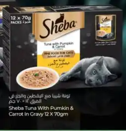 Lulu Hypermarket Sheba tuna with pumkin & carrot in gravy offer