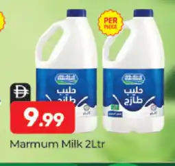 Al Madina MARMUM Fresh Milk offer