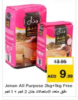 Nesto JENAN All Purpose Flour offer
